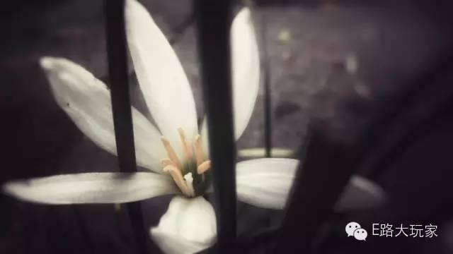 手機(jī)攝影俱樂部“金秋旅行手機(jī)攝影賽”獲獎(jiǎng)名單出爐