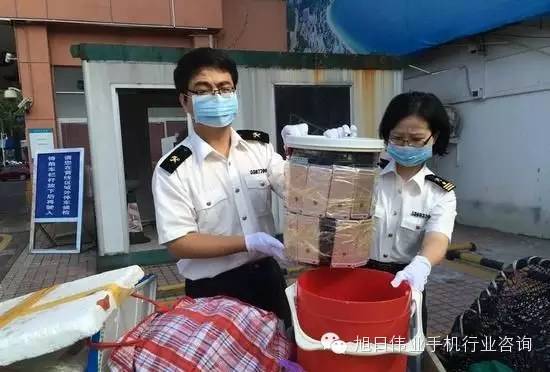 女子用水桶、臺秤夾藏49部iPhone過海關(guān)