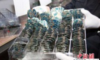 深圳海關(guān)破獲43億手機(jī)主板等走私大案