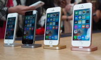 Android要滅門？這才是蘋果推iPhone SE真相