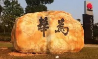 從深圳到東莞：一位華為老員工的心里獨白