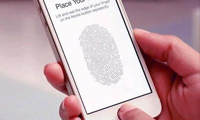智能型手機搭載風(fēng)潮正熾 指紋識別芯片放手沖量