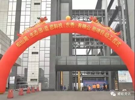 手機玻璃女王周群飛玩得大，松山湖項目又砸50億！