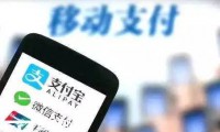 焦點(diǎn)：預(yù)計(jì)2017年移動支付用戶高達(dá)5.6億