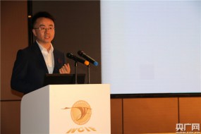 京東方副總裁：國內(nèi)首條柔性O(shè)LED生產(chǎn)線 下月成都正式量產(chǎn)