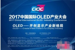 500行業(yè)精英聚首OLED產(chǎn)業(yè)大會(huì)