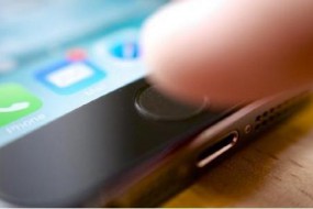 指紋識(shí)別：如何證明你不是一條狗？
