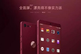 錘子全面屏手機堅果Pro 2發(fā)布：全球首發(fā)藍思LOGO指紋模組方案