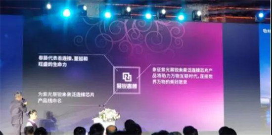 趙偉國：國產(chǎn)移動芯片進軍中高端市場，5G機遇與挑戰(zhàn)并存