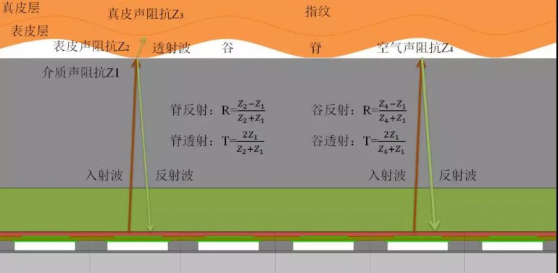思立微就電容指紋涉訴聲明:光學(xué)/超聲波突破使其處于風(fēng)口浪尖