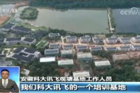 科大訊飛被曝“AI換地”，上市十年政府補貼仍占凈利潤過半
