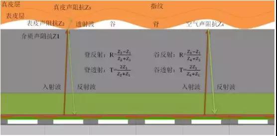 三星S10超聲波指紋供應(yīng)商曝光：高通方案/GIS歐菲科技供模組
