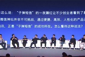 錘子手機業(yè)務(wù)瀕臨失敗，羅永浩要用能賺錢的聊天寶翻身？