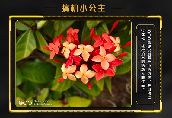 索尼旗艦級(jí)IMX363傳感器，iQOO拍照效果如何樣張會(huì)說(shuō)話