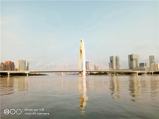 vivo Y3拍照實測：細節(jié)與質(zhì)感并存，見證三攝震撼視野