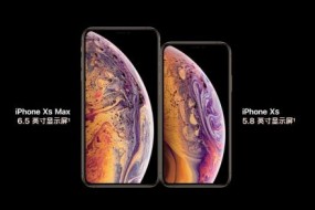 傳蘋果將打造中國特色版iPhone，削掉Face ID改用屏幕指紋