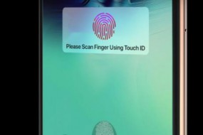 彭博社：明年新款 iPhone 將支持屏下指紋識別