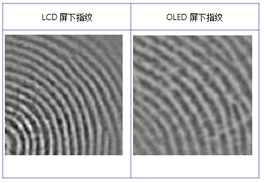 博觀約取，厚積薄發(fā)—揭秘思立微LCD屏下指紋方案