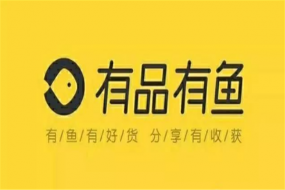別樣雙11！有品有魚會員服務制電商強勢來襲 省心省力省時省事