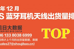2019年12月TWS藍(lán)牙耳機(jī)天線出貨量排行榜