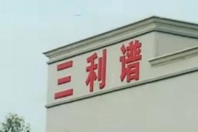 國產替代加速，三利譜合肥產能出來了，業(yè)績飛漲