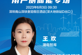 大咖來襲|潮電智庫王歡邀您參會，帶來歐洲儲能市場解讀