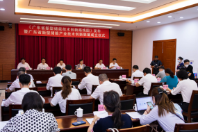 省科技廳發(fā)布《廣東省新型儲能技術(shù)創(chuàng)新路線圖》
